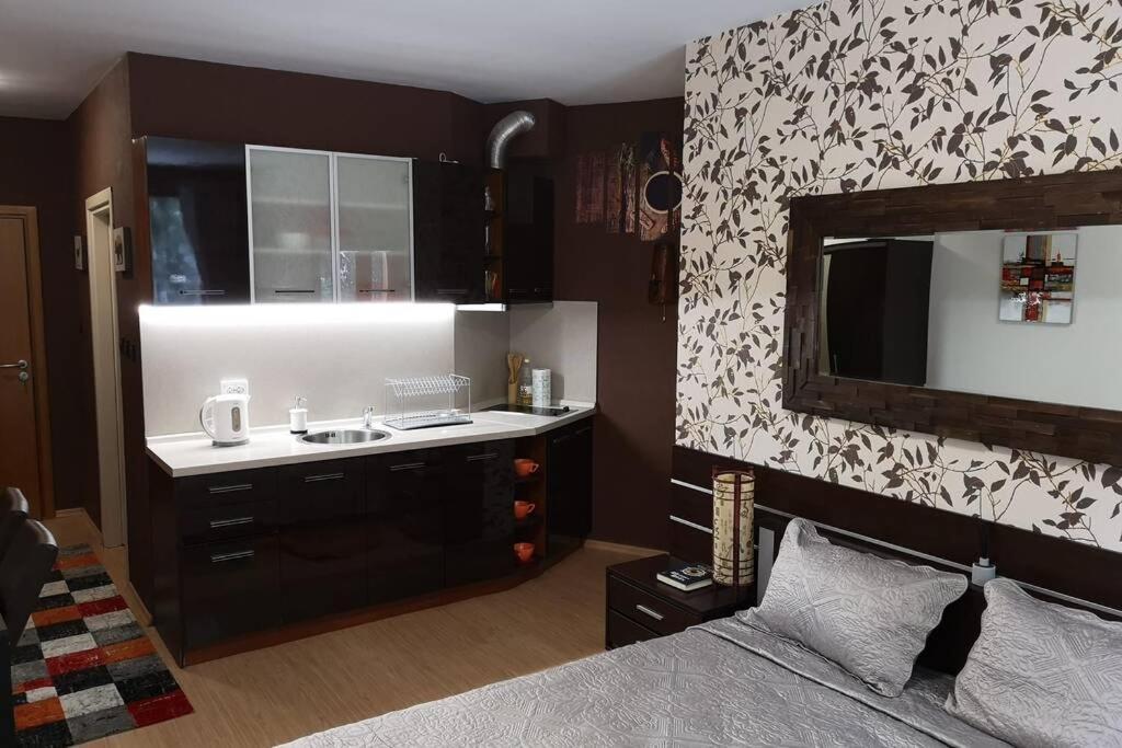 Studio 1 Iceberg Borovets Luaran gambar