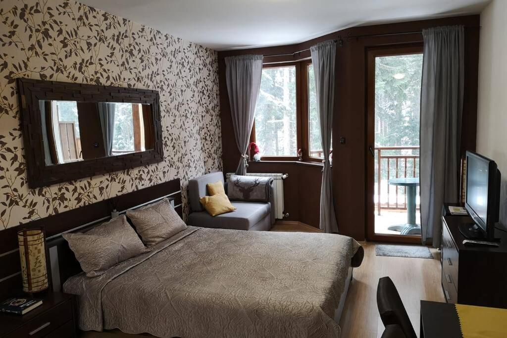Studio 1 Iceberg Borovets Luaran gambar