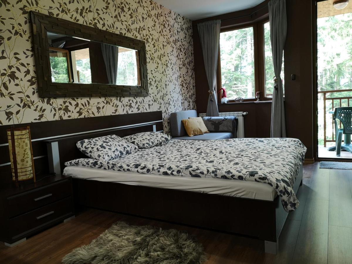 Studio 1 Iceberg Borovets Luaran gambar