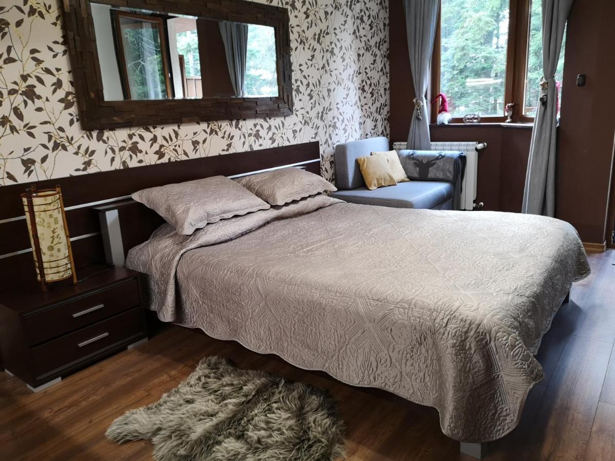 Studio 1 Iceberg Borovets Luaran gambar